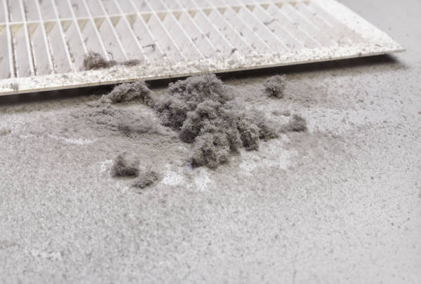 Best Air Duct Cleaning Cost  in Victoria, MS
