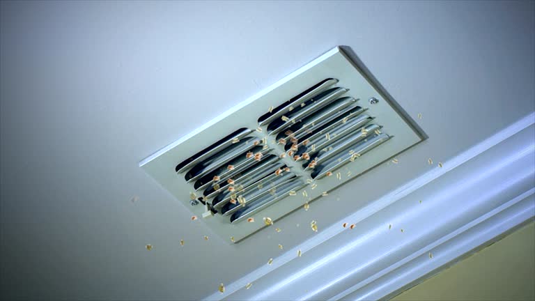 Best Affordable Duct Cleaning Services  in Victoria, MS