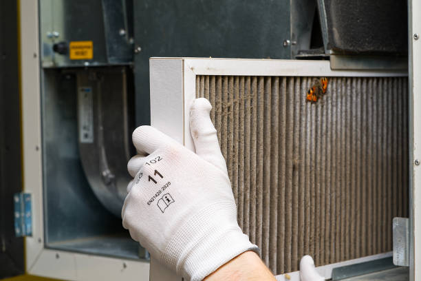 Best Air Vent Cleaning Services  in Victoria, MS