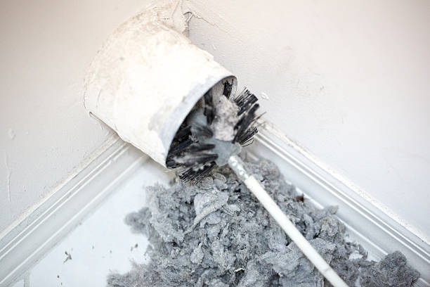 Best Air Duct Cleaning Near Me  in Victoria, MS